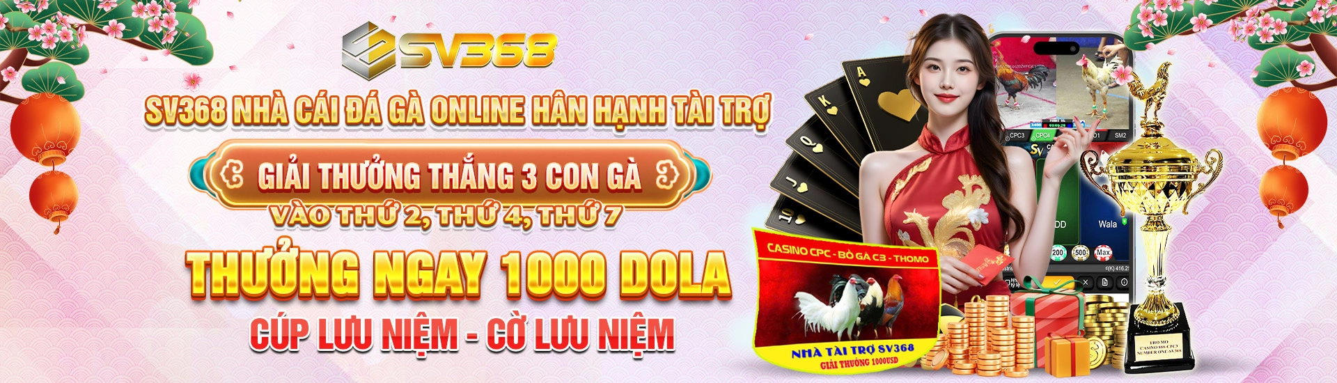 banner2-sv368