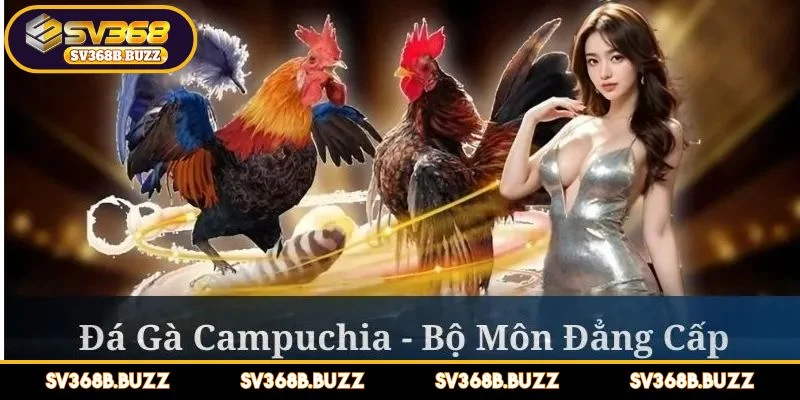 da-ga-campuchia-toan-canh