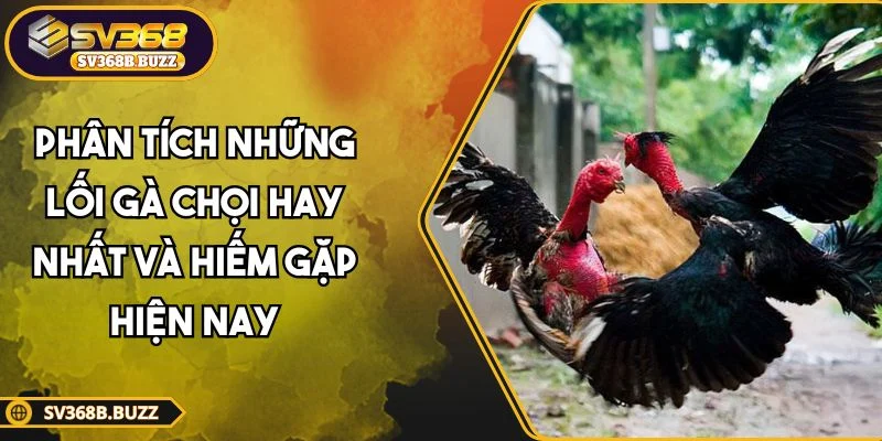 loi-ga-choi-hay-nhat
