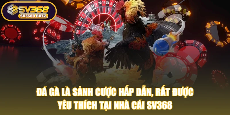sv368-da-ga-la-sanh-cuoc-hap-dan