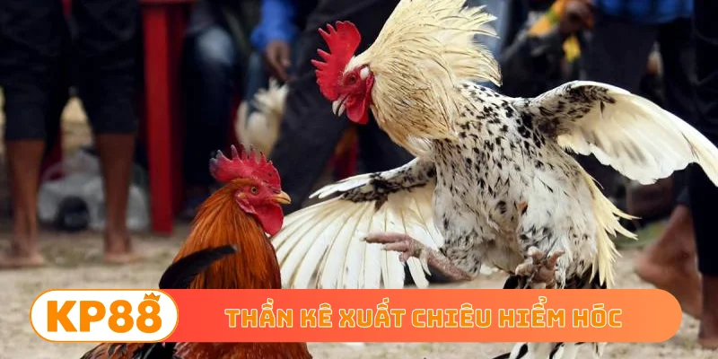 Thần kê xuất chiêu hiểm hóc